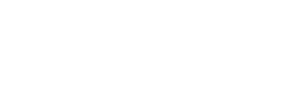 Logo grupo sea blanco